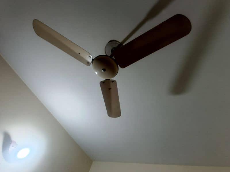 used celling fan in perfect condition 14