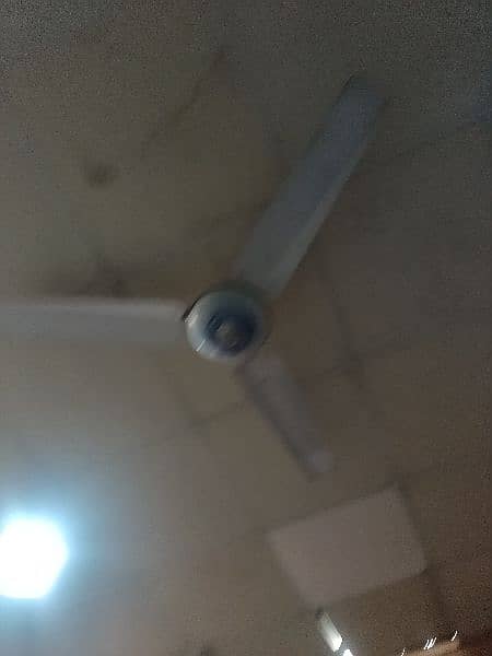 used celling fan in perfect condition 15