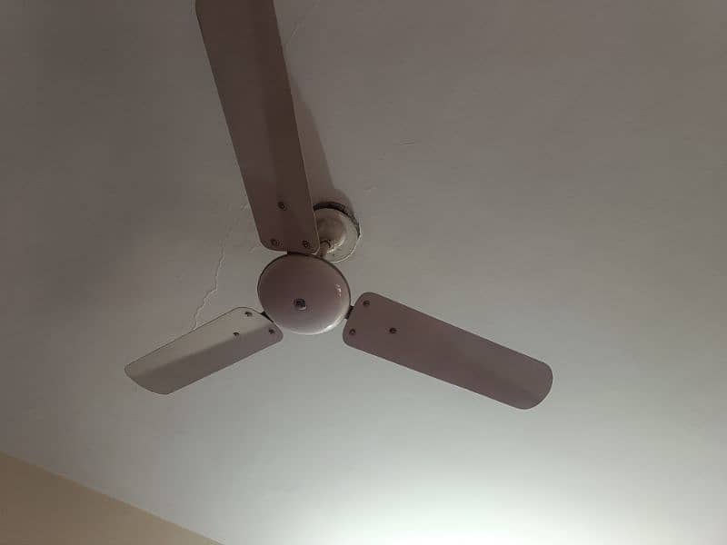 used celling fan in perfect condition 16