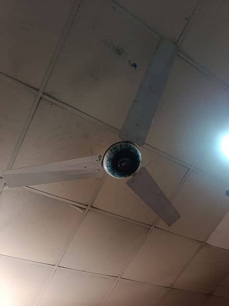 used celling fan in perfect condition 17
