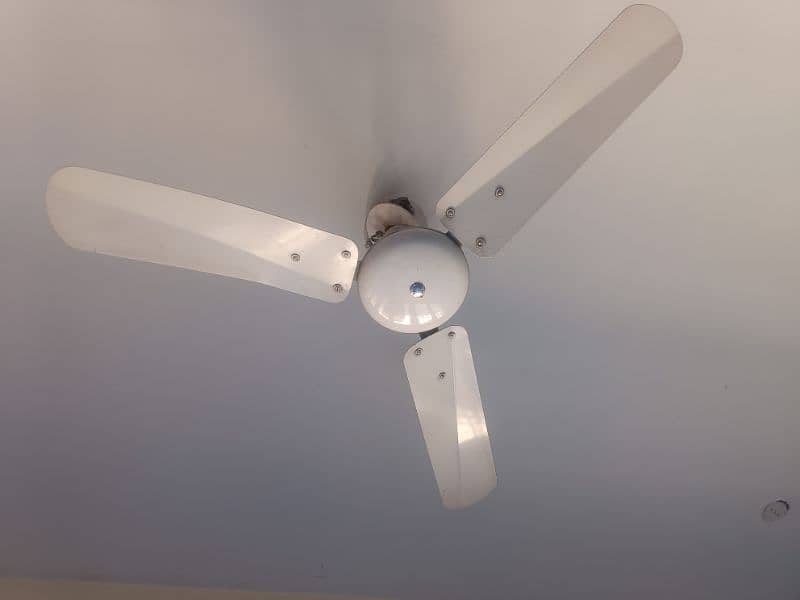 used celling fan in perfect condition 18