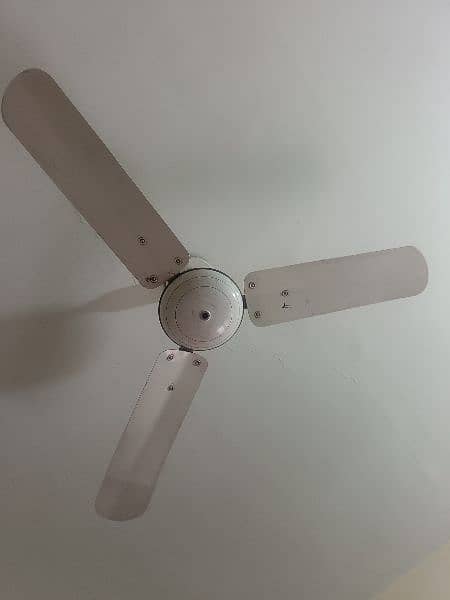 used celling fan in perfect condition 19