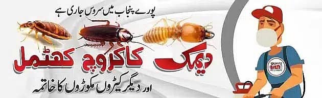 Islamad Pest Control Termite control Pest Control Dengue Spary Fumigat 4