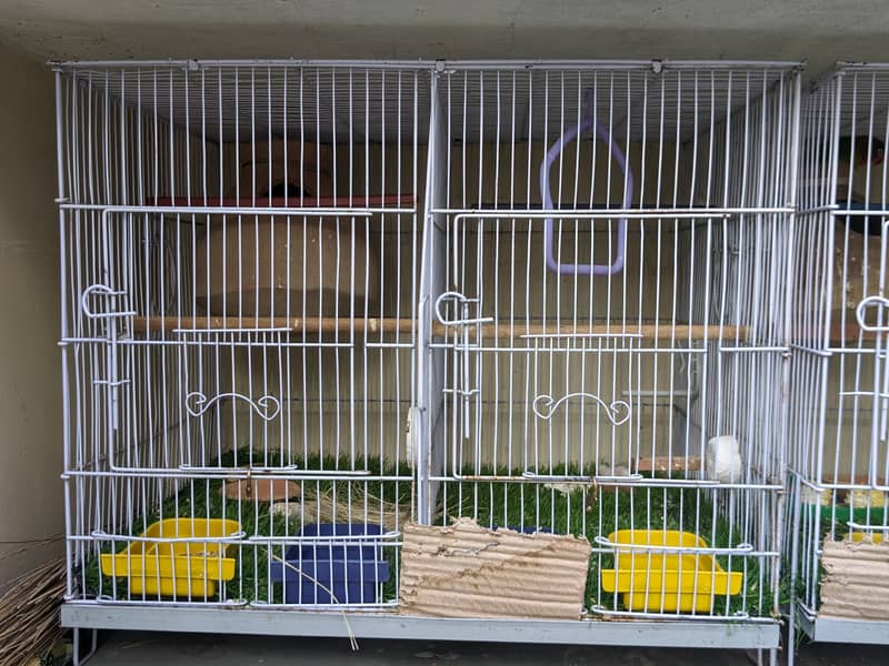 bird cage 2 partitions 4