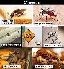 Termite & Pest Control Fumigation Mosquitoes Dengue Spray Deemak Rats 1