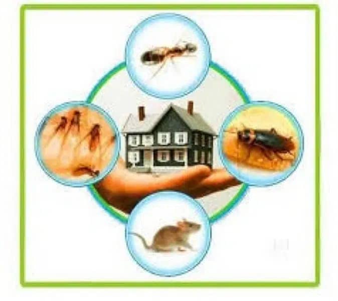 Termite & Pest Control Fumigation Mosquitoes Dengue Spray Deemak Rats 2