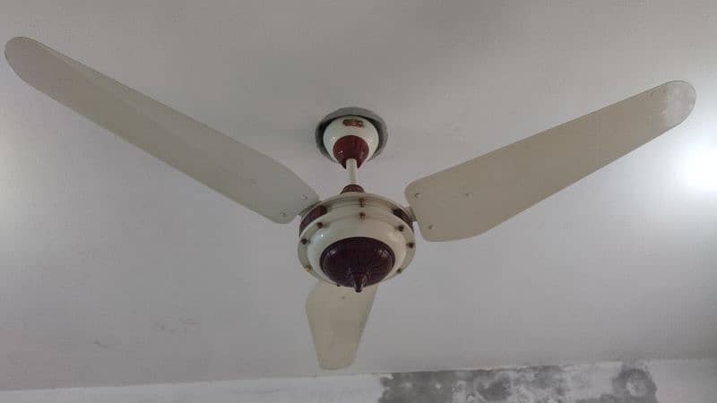 Ceiling Fan 3