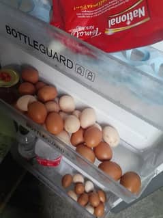 pure home bread desi eggs 450/dozen