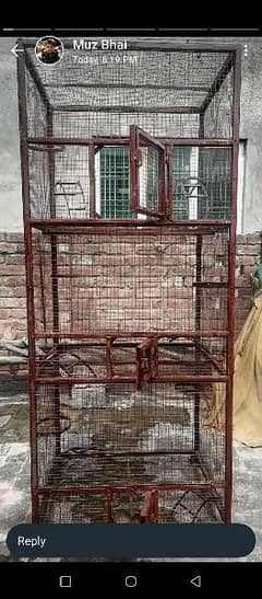 iron Birds cage