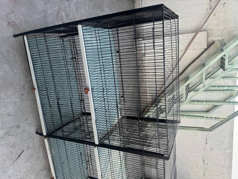 Birds Cages | Cages For Sale | Cage |  Iron Cage For Sale 2
