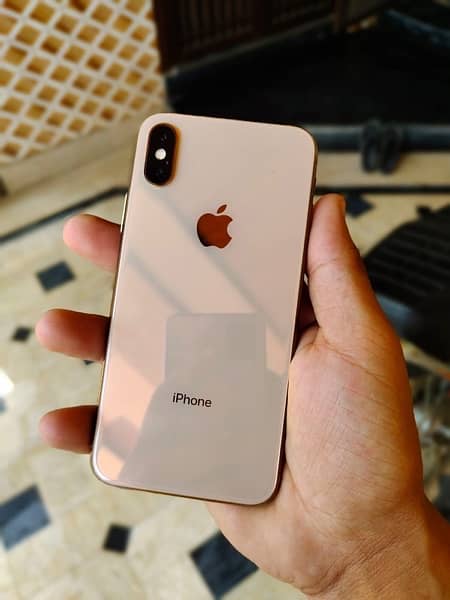 iPhone XS dual pta approved 1