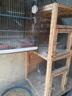 Birds cage for sell budgies, chicks, parrots, finches etc