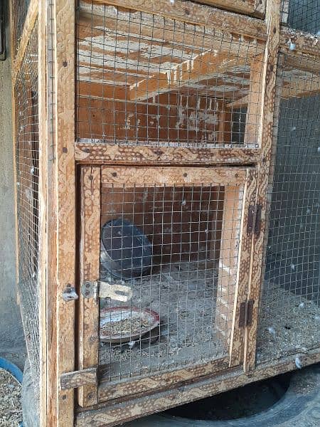 Birds cage for sell budgies, chicks, parrots, finches etc 5