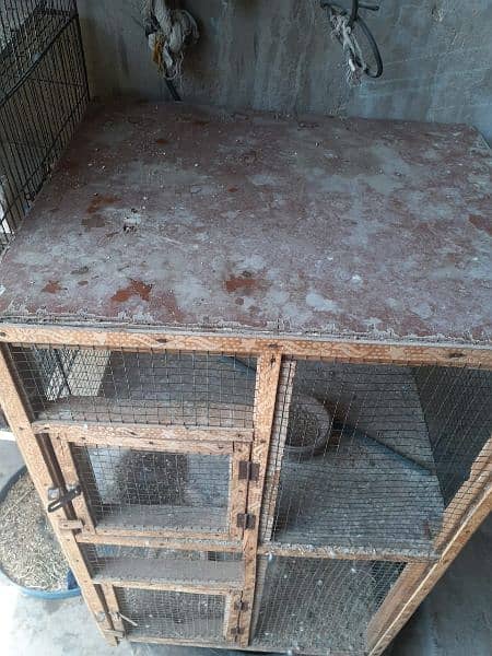 Birds cage for sell budgies, chicks, parrots, finches etc 6