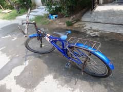 12 SPRINGS BICYCLE FOR SALE