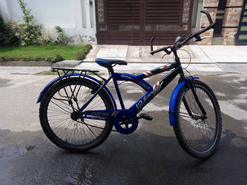 12 SPRINGS BICYCLE FOR SALE 1