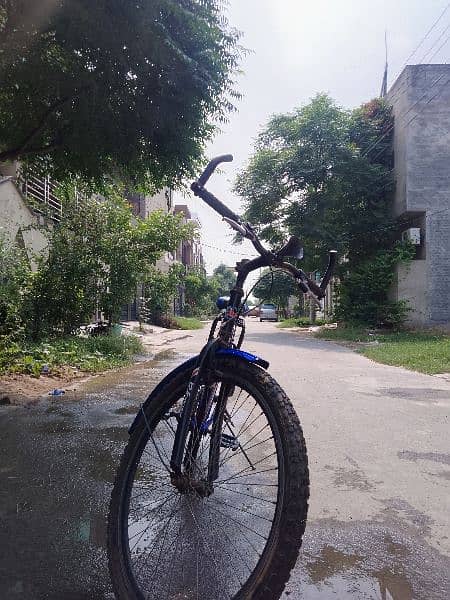 12 SPRINGS BICYCLE FOR SALE 2