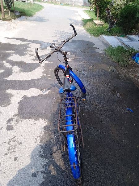 12 SPRINGS BICYCLE FOR SALE 3