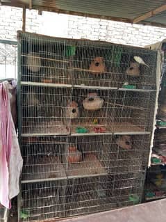 12 portion cage for sell