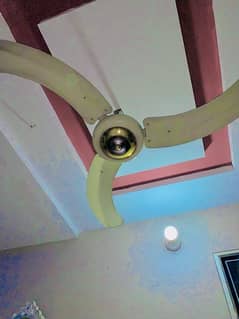 celling fan good condition all ok 0