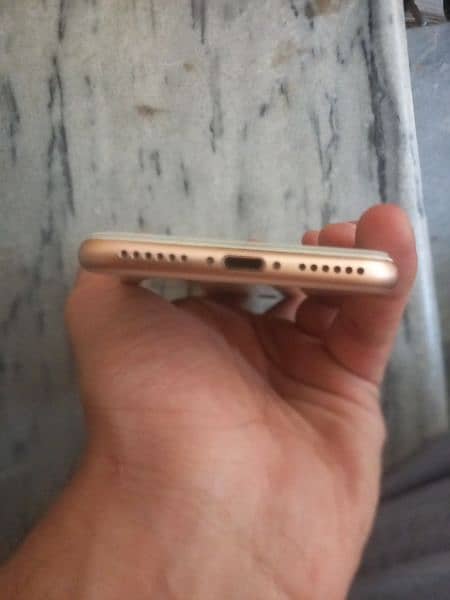 iphone 8 64 memory 10/10 condition All ok PTA approve hai 3