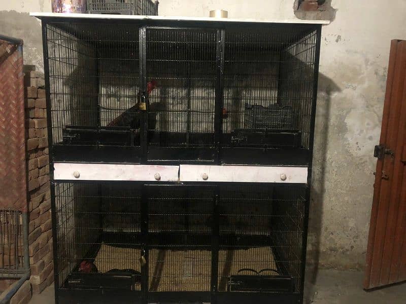 Hen Cage/Birds cage/Shamo cage/iron cage/03094878228 4