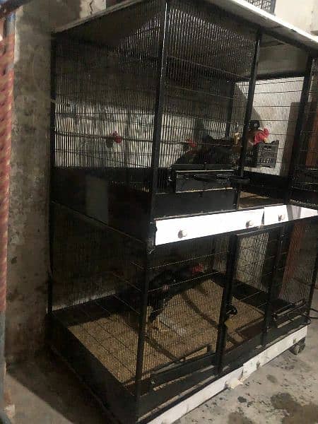 Hen Cage/Birds cage/Shamo cage/iron cage/03094878228 5