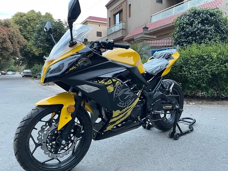 Kawasaki ninja 250cc replica 2