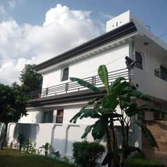 10 marla Renovated Corner House for Sale in P Block DHA Phase Lahore.