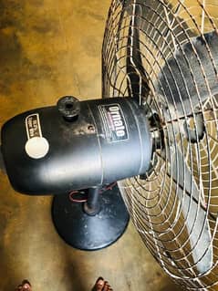 solur and electric fan