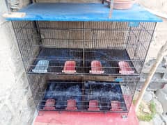 cage iron wala