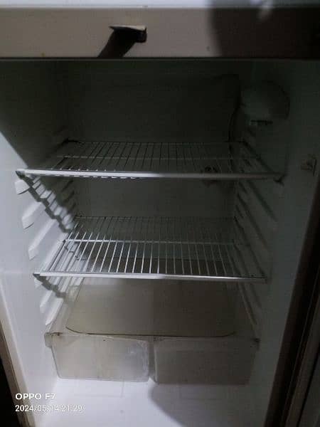 standard size frige 1