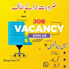 we required staff  for official working