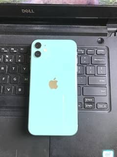iPhone 11 | JV | Limited Green Colour