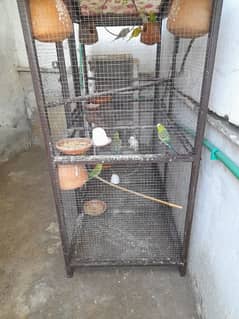 Parrots cage for sale in New condition not much used made with iron. 0