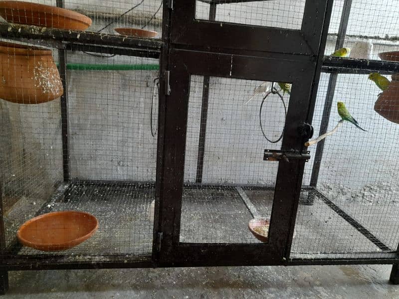 Parrots cage for sale in New condition not much used made with iron. 1