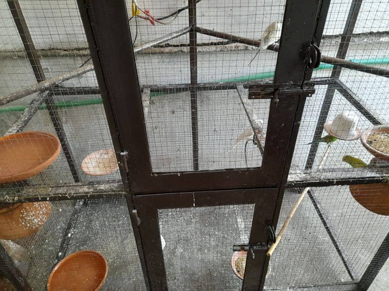 Parrots cage for sale in New condition not much used made with iron. 2