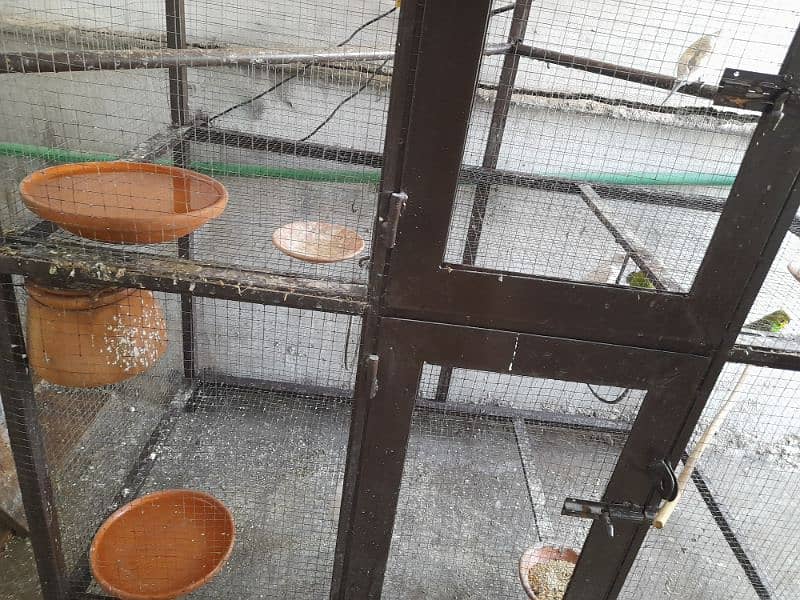 Parrots cage for sale in New condition not much used made with iron. 5