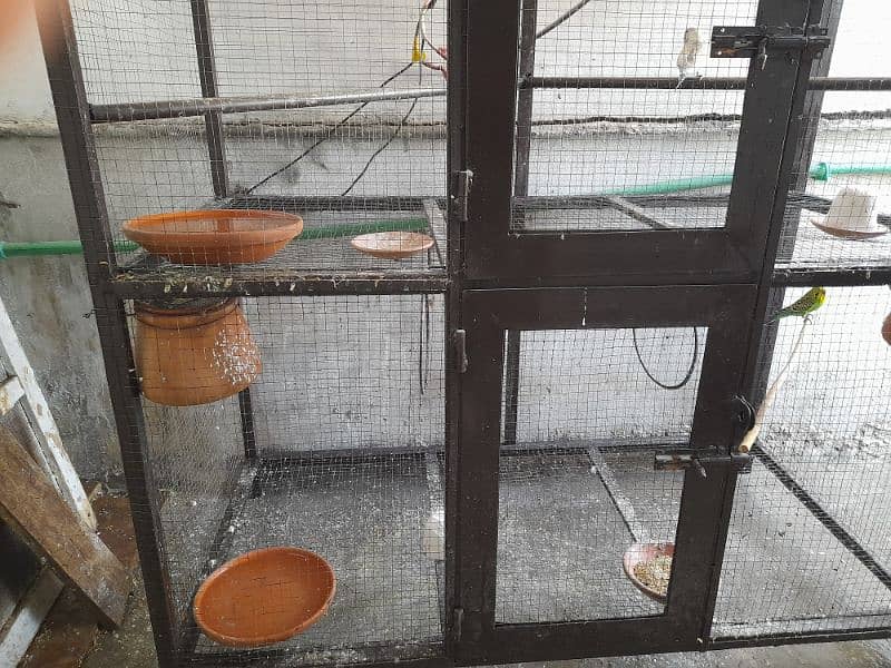 Parrots cage for sale in New condition not much used made with iron. 6