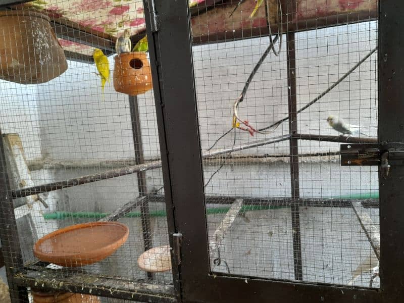Parrots cage for sale in New condition not much used made with iron. 8