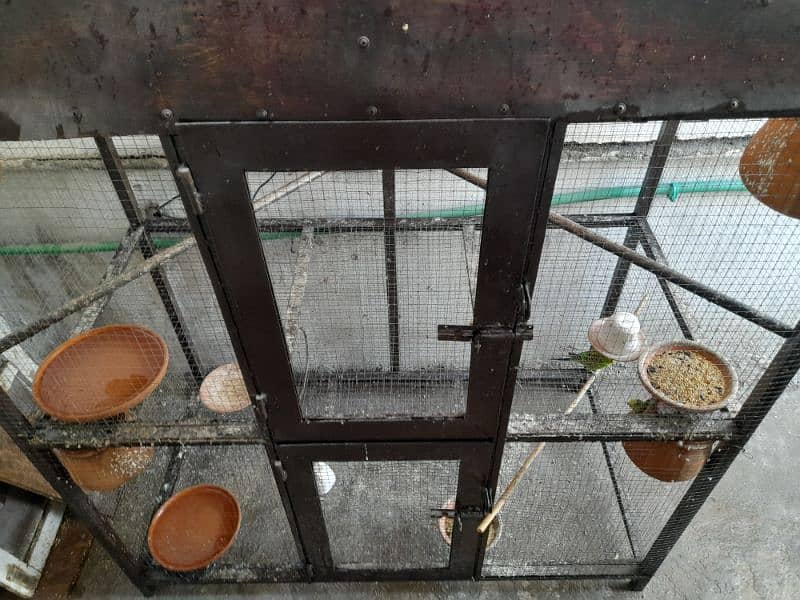 Parrots cage for sale in New condition not much used made with iron. 11