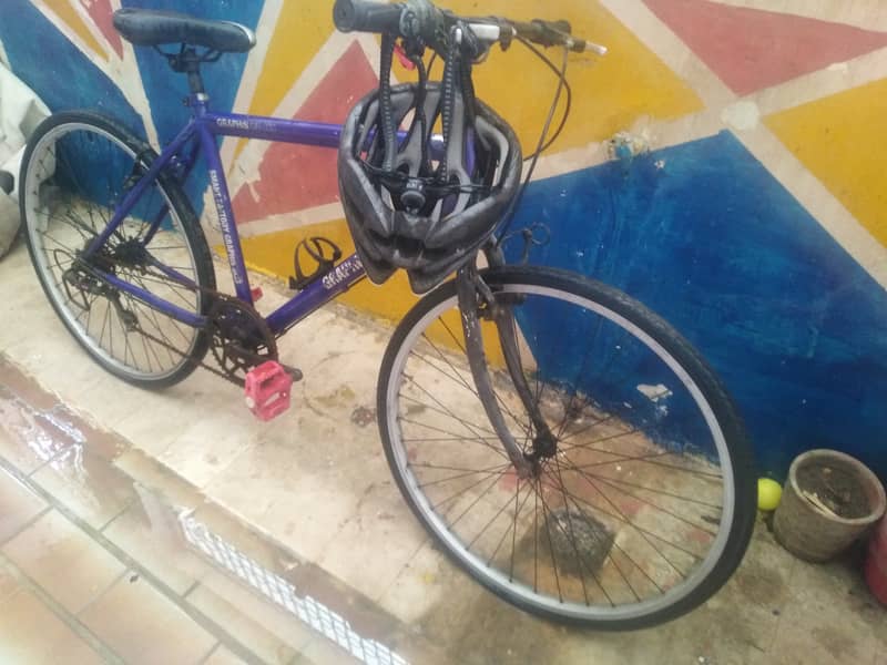 Hybrid Bicycle for Sell 1