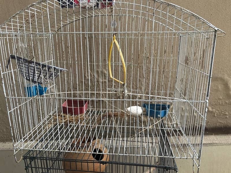 birds/hens cages for sale 1