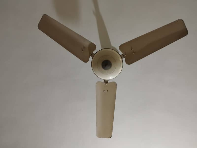 ceiling Fan 1