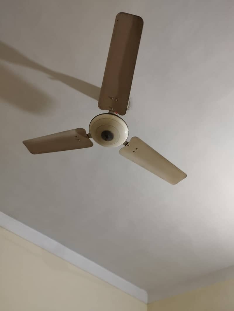 ceiling Fan 2