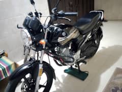 Yamaha ybz DX 2021