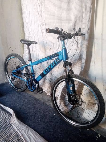 Mountain bicycle for sale 2