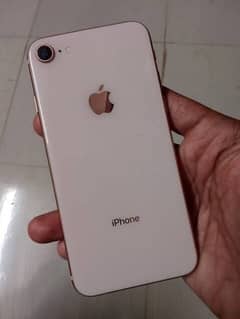 exchange iphone 8 American model LLA pta approved