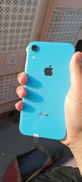 iphone xr 6