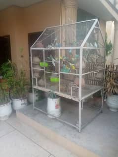Australian parrots with jumbo cage 0